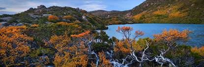 Mckenzie_Tarn900.jpg